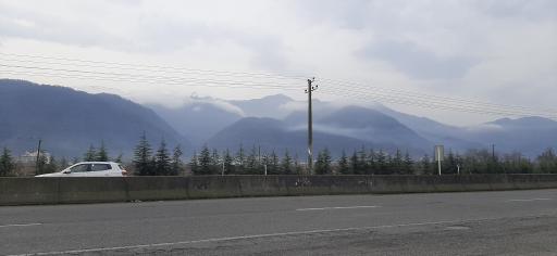 عکس جنگل غرب مازندران