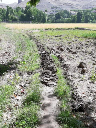 عکس روستای مورکان و رحمت آباد