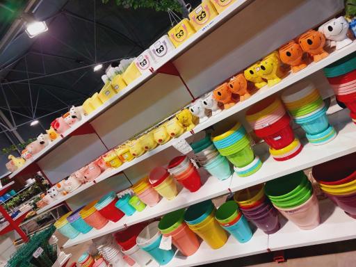 عکس نمایشگاه گل و گیاه سلمان