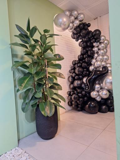 عکس ناب فود