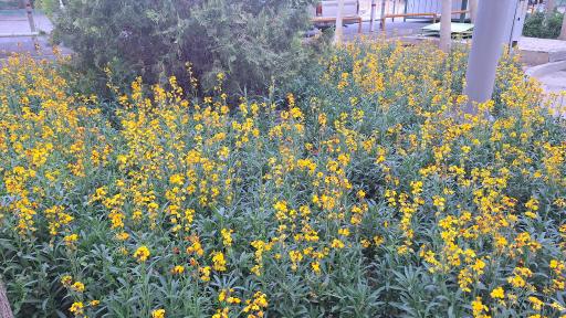 عکس پارک شهدای آذر