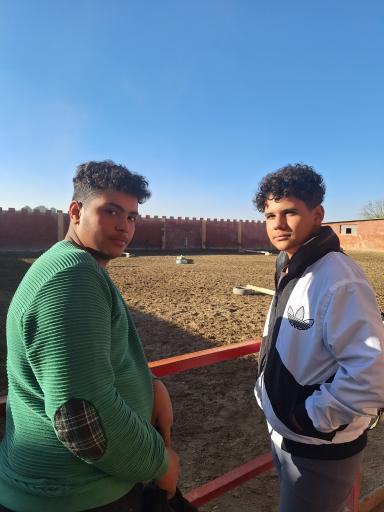 عکس باشگاه اسب سواری نیاوران