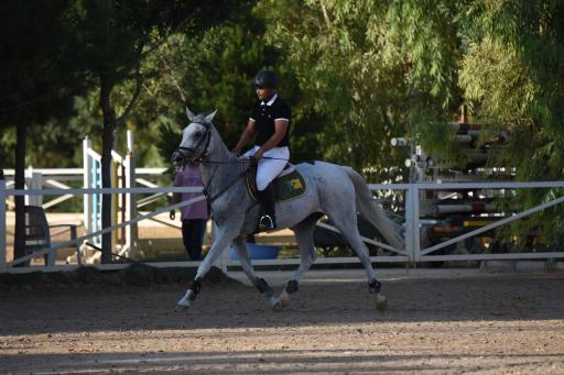 عکس باشگاه اسب سواری نیاوران