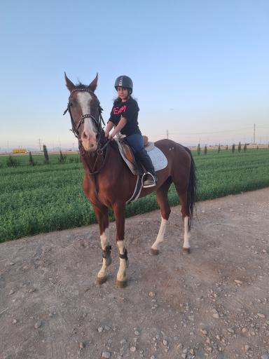 عکس باشگاه اسب سواری نیاوران