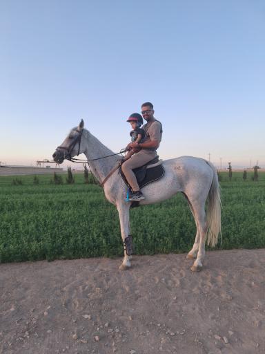 عکس باشگاه اسب سواری نیاوران