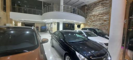 عکس نمایشگاه اتو آقاجانی