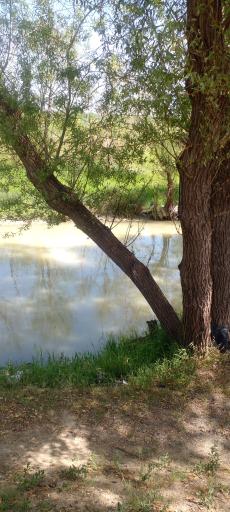 عکس بند آب کلوچه