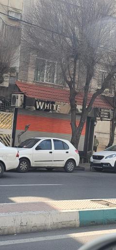 عکس کافه وایت