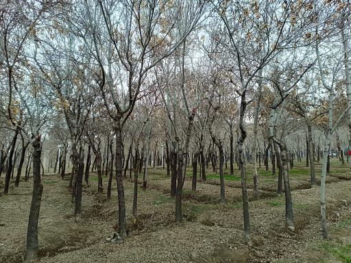 کمپ اسکان زائرین غدیر