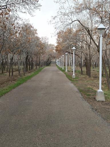 عکس کمپ اسکان زائرین غدیر