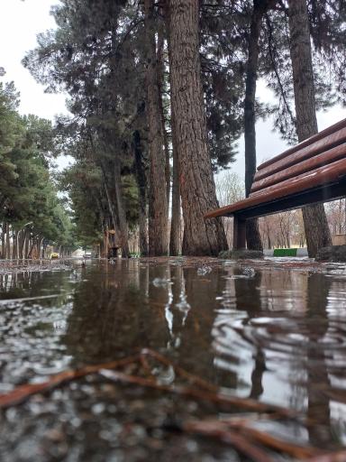 عکس کمپ اسکان زائرین غدیر