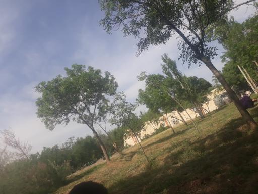 عکس کمپ اسکان زائرین غدیر