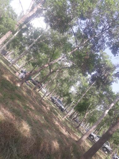 عکس کمپ اسکان زائرین غدیر