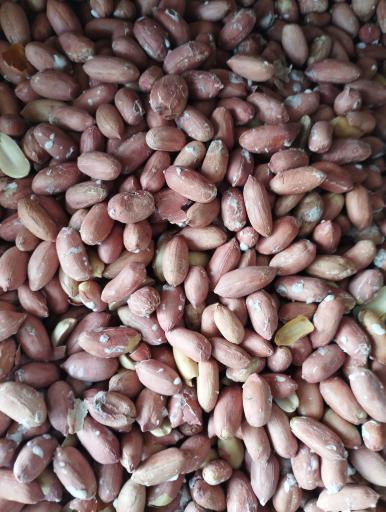 عکس خوار بار فروشی رمضانی