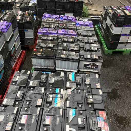 عکس باتری فرسوده گل محمدی