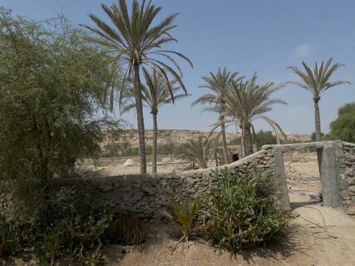 عکس هنگام