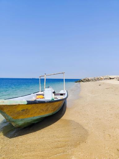 عکس هنگام