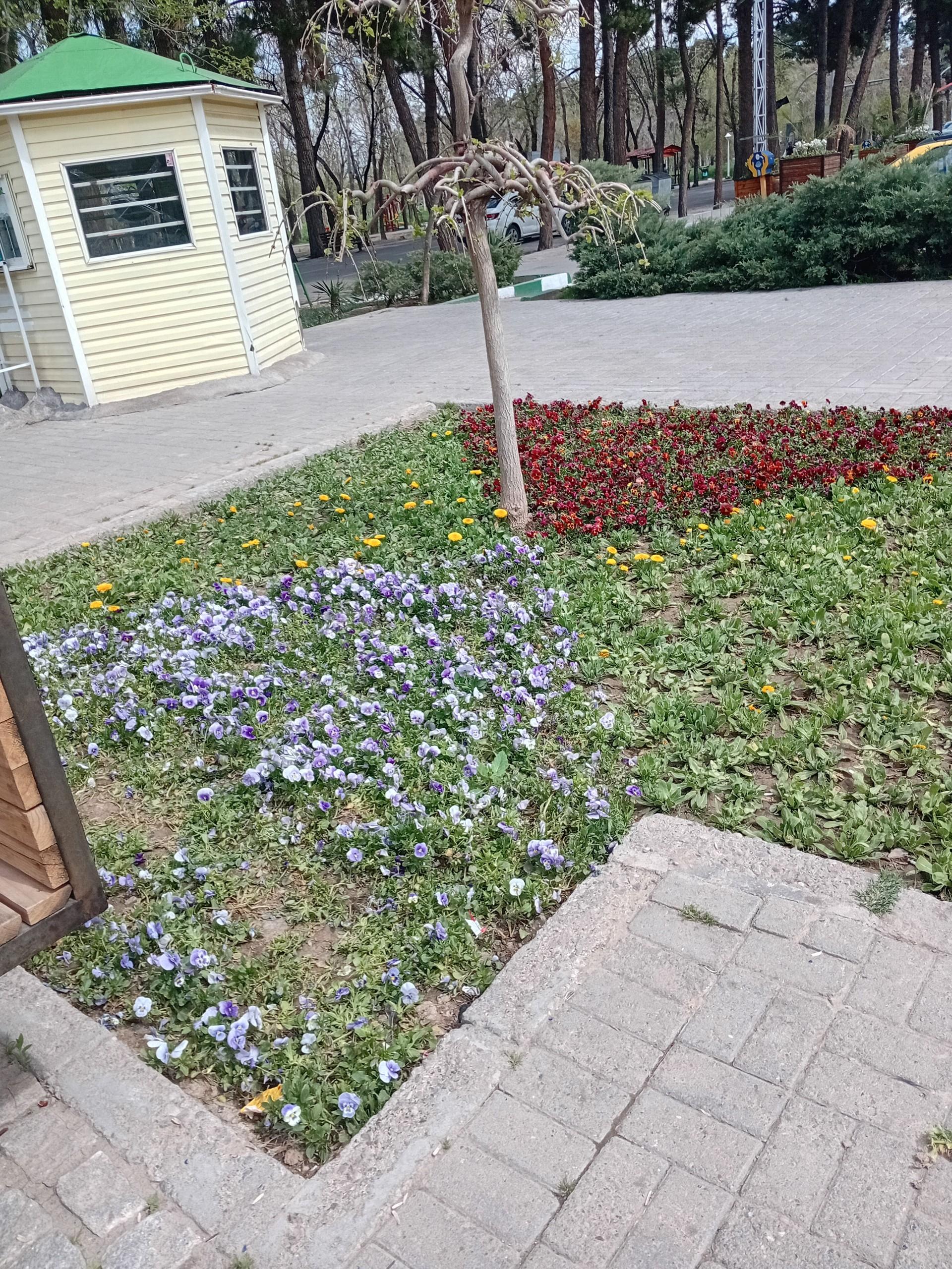 عکس کمپ اسکان زائرین غدیر