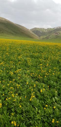 عکس قرخ بلاغ