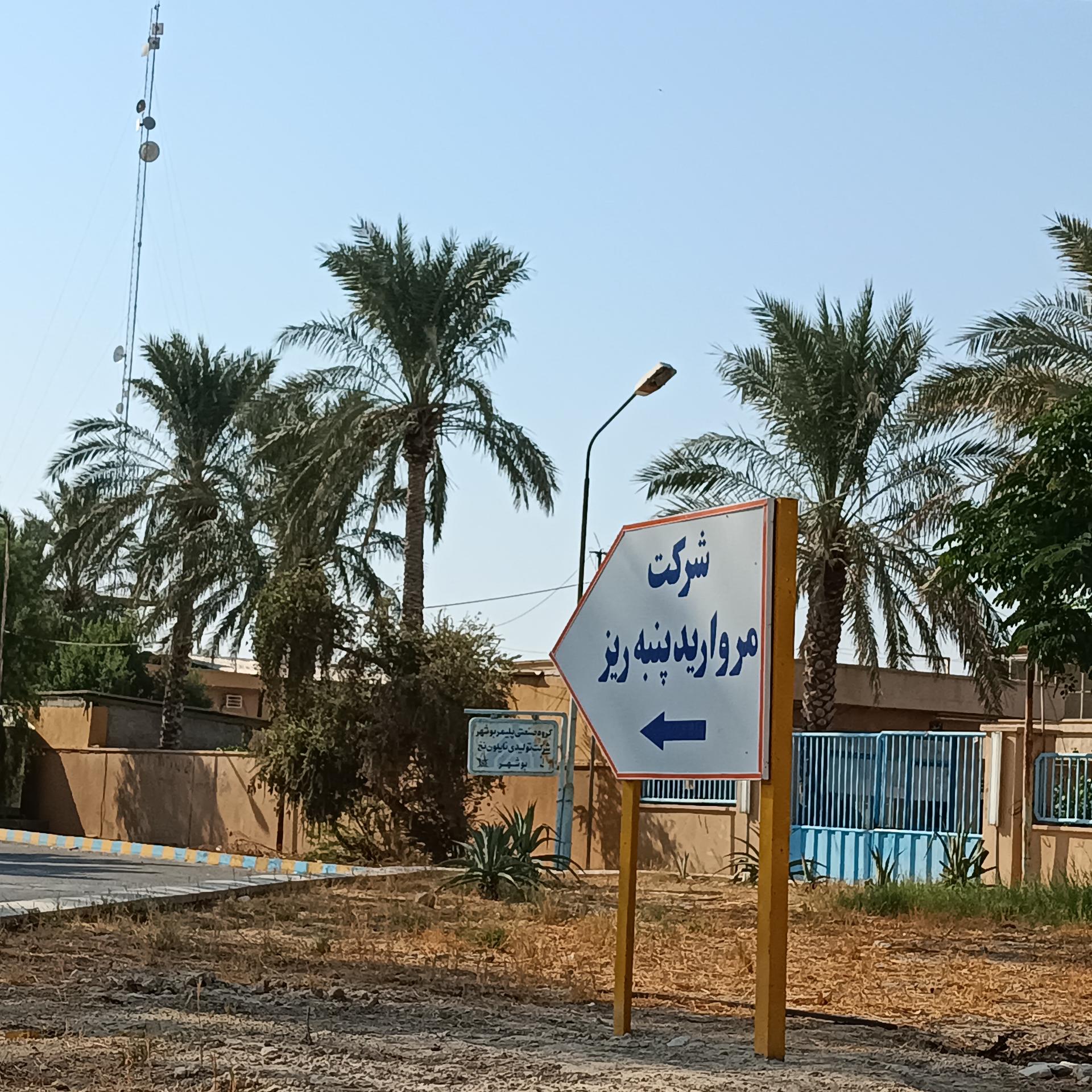 عکس شرکت مروارید پنبه ریز