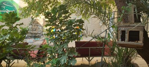 عکس محصولات طب سنتی اسلامی سرای رضوان