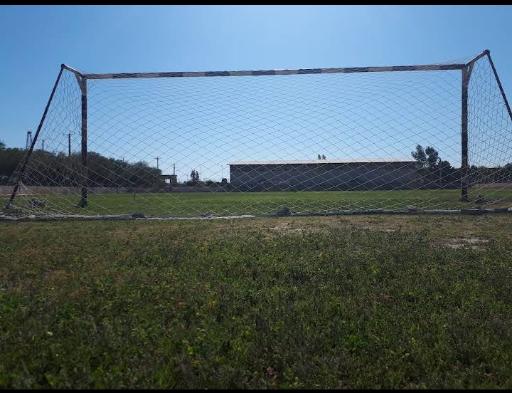 عکس زمین چمن کوی سجادیه 