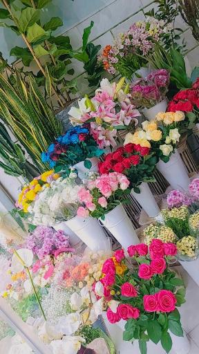 عکس گل فروشی لاکچری باکارا