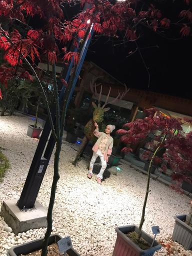 عکس شهر گل یاسمین