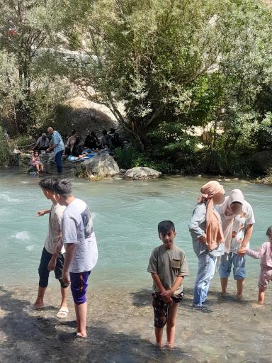 عکس باغ پل چوبی