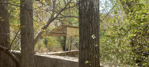 عکس باغ پل چوبی