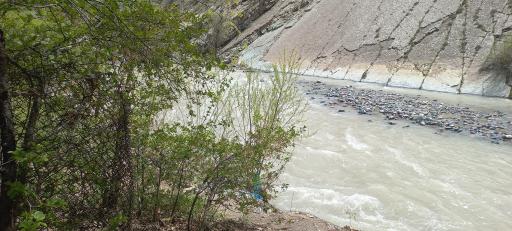 عکس باغ پل چوبی