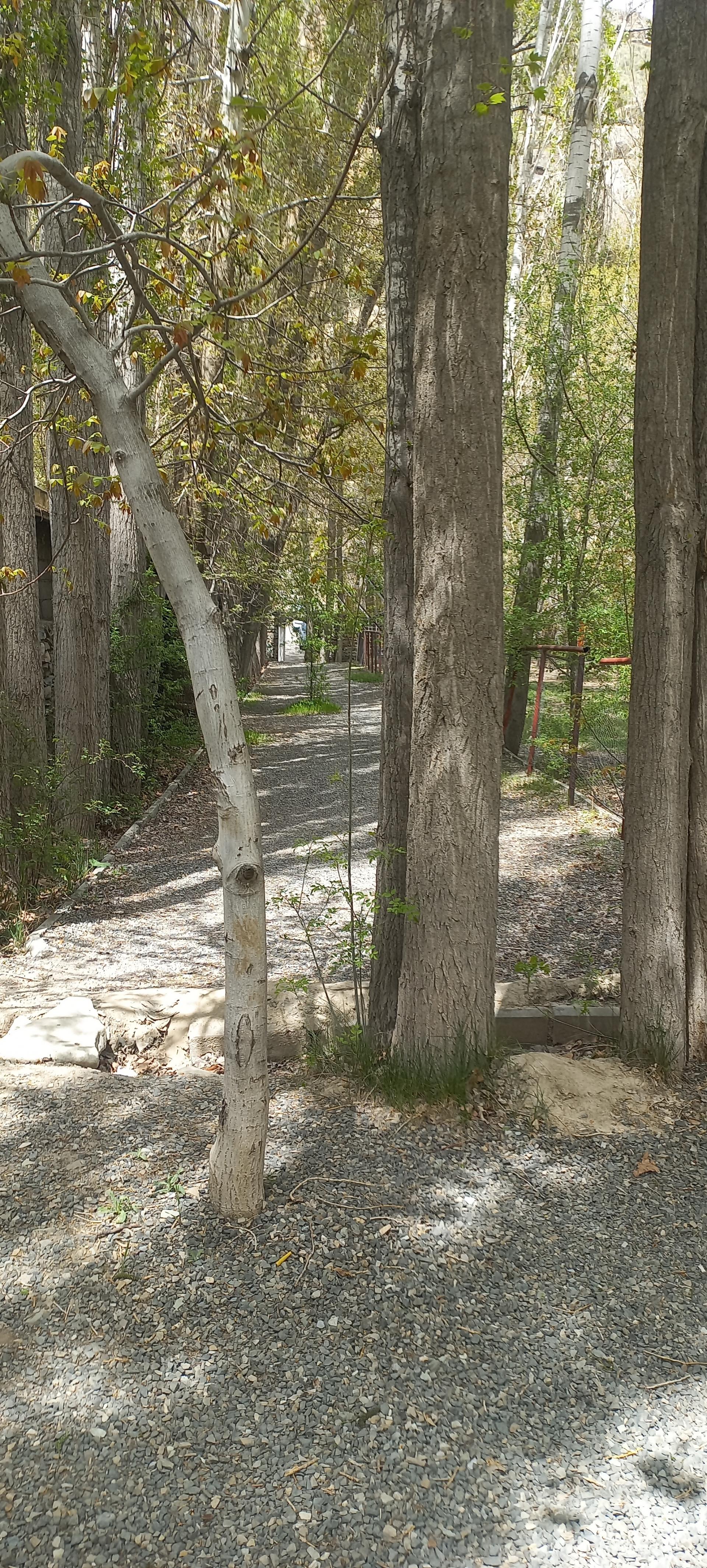 عکس باغ پل چوبی