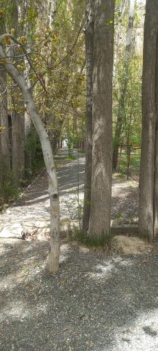 عکس باغ پل چوبی