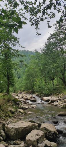 عکس پارک جنگلی خرماچال