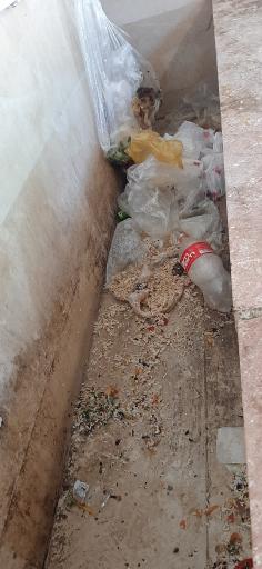 عکس کمپ چادر شماره 1 شهرداری