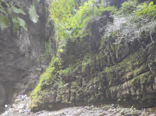 عکس پارک جنگلی خرماچال