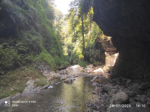 عکس پارک جنگلی خرماچال