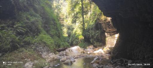 عکس پارک جنگلی خرماچال