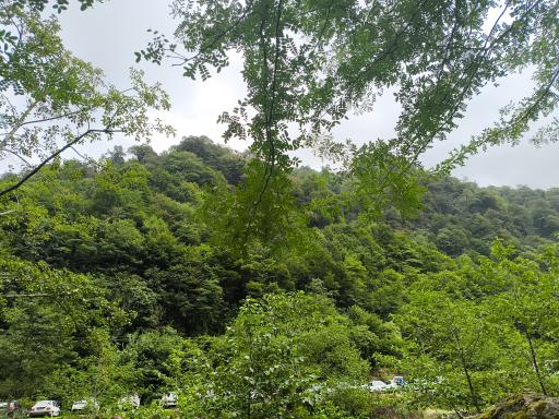 عکس پارک جنگلی خرماچال