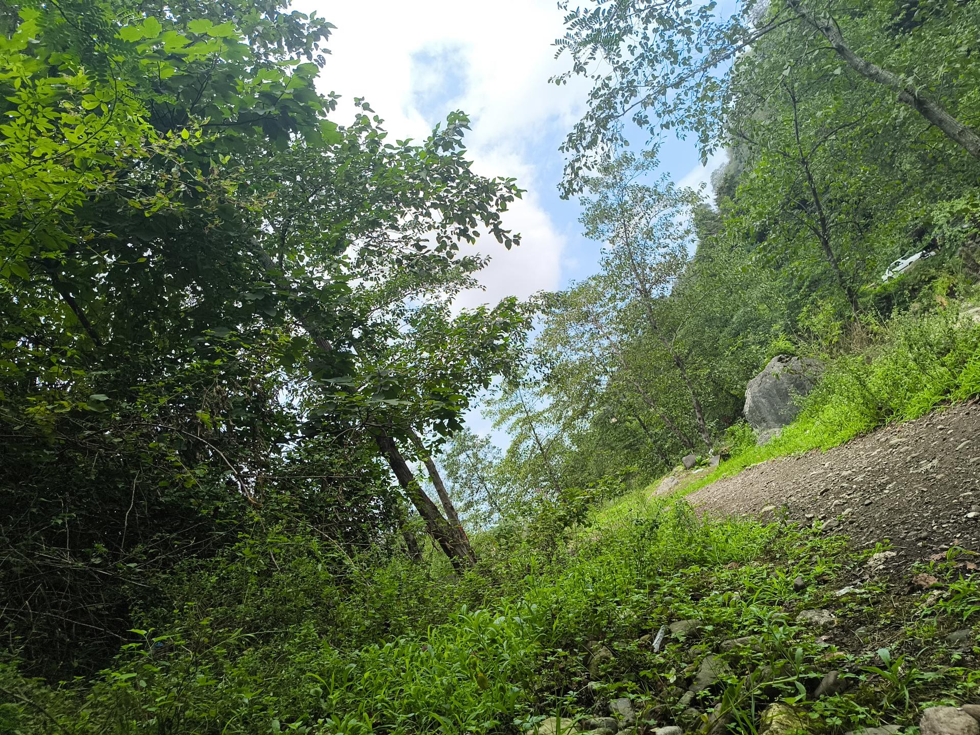 عکس پارک جنگلی خرماچال