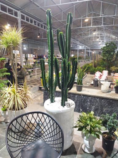 عکس گلستان بختیاری شعبه 2