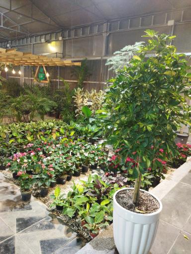 عکس گلستان بختیاری شعبه 2