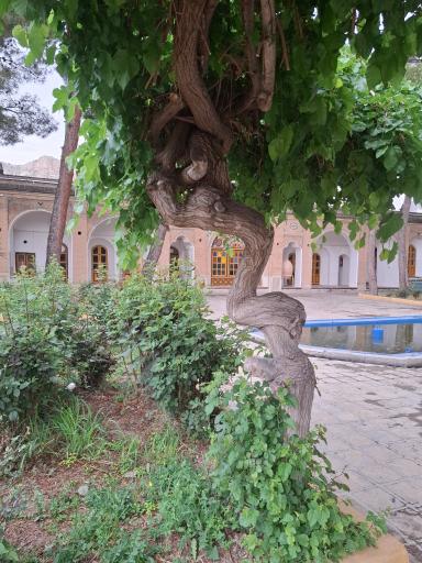 عکس قلعه والی