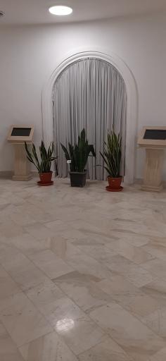 عکس شهر گل یاسمین