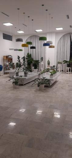 عکس شهر گل یاسمین