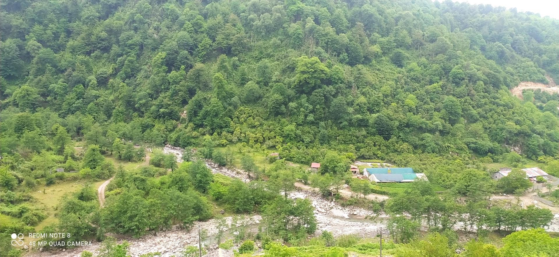 عکس پارک جنگلی خرماچال