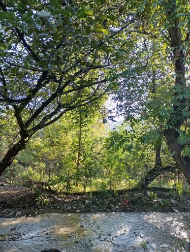 عکس اقامتگاه و رستوران طاق کسری