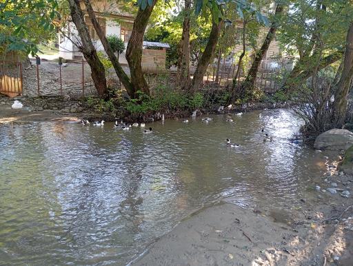 عکس اقامتگاه و رستوران طاق کسری