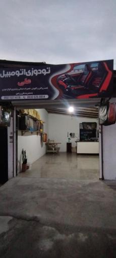 عکس تودوزی علی