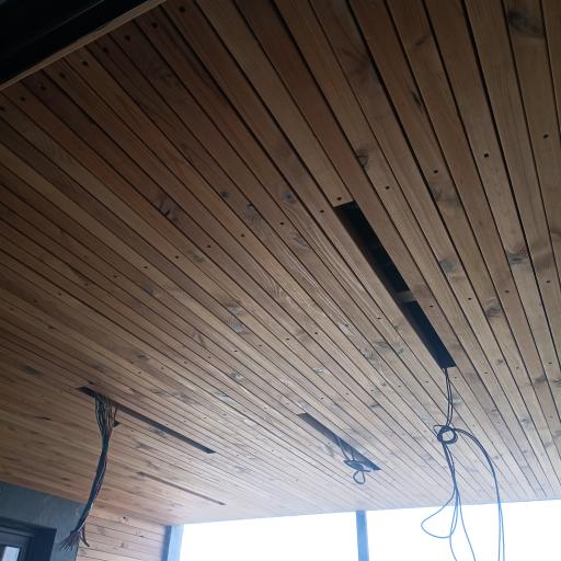 عکس ترموو وود رئیسیان 